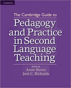 pedagogy and practice in second language teaching 