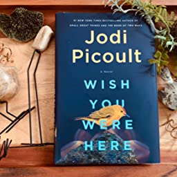  کتاب Wish You Were Here by Jodi Picoult 