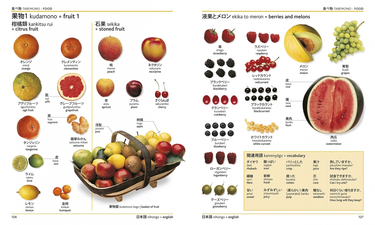 Japanese English Bilingual Visual Dictionary