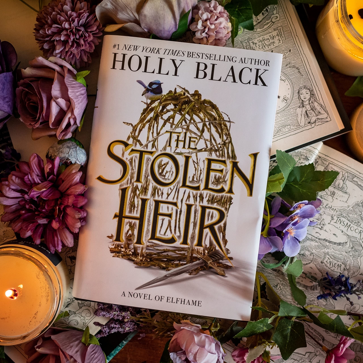 کتاب The Stolen Heir by Holly Black 