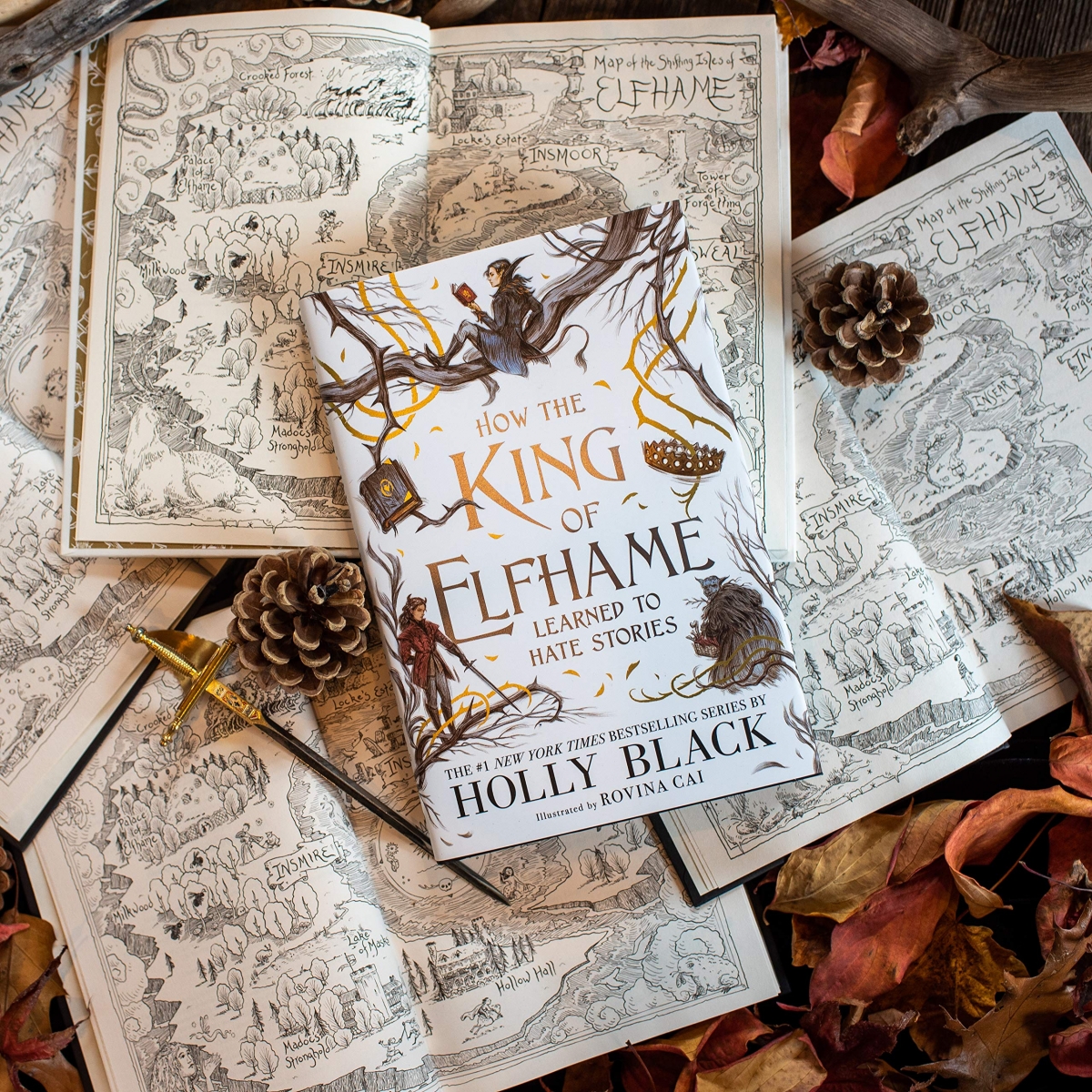  کتاب How the King of Elfhame Learned to Hate Stories by Holly Black  رنگی