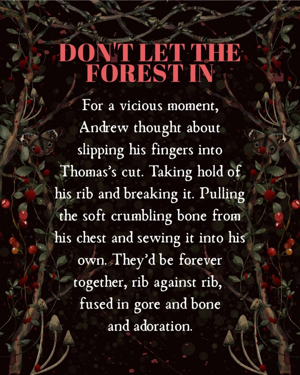 کتاب Don't Let the Forest In by C. G. Drews