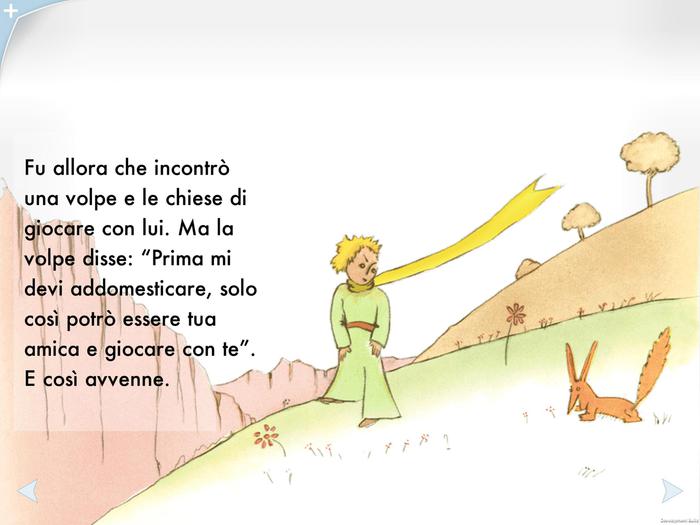  Il Piccolo Principe