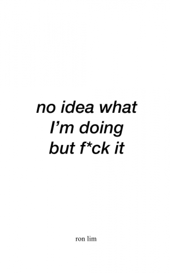  کتاب no idea what I'm doing but f*ck it by Ron Lim 