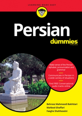 Persian  دامیز