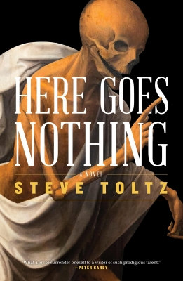 Here Goes Nothing by Steve Toltz